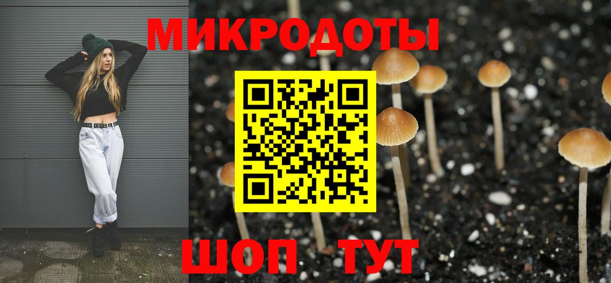 Галлюциногенные грибы MAGIC MUSHROOMS Железногорск