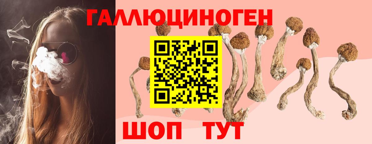 Железногорск  Галлюциногенные грибы мухоморы  Вход с VPN 